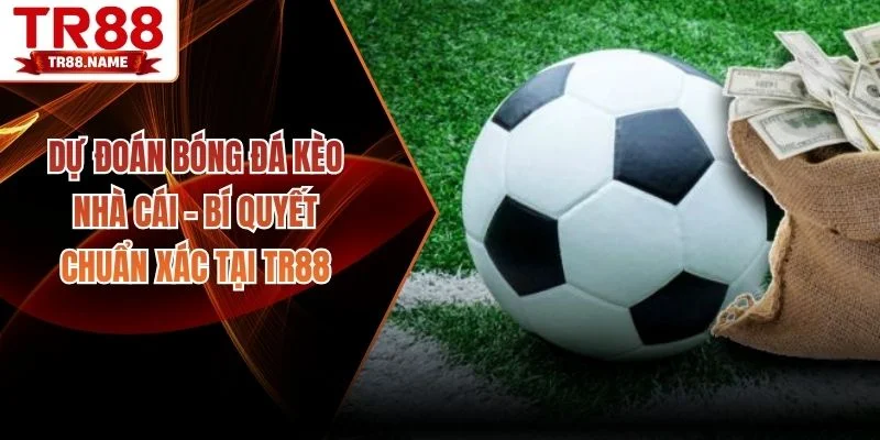 Dự đoán bóng đá kèo nhà cái