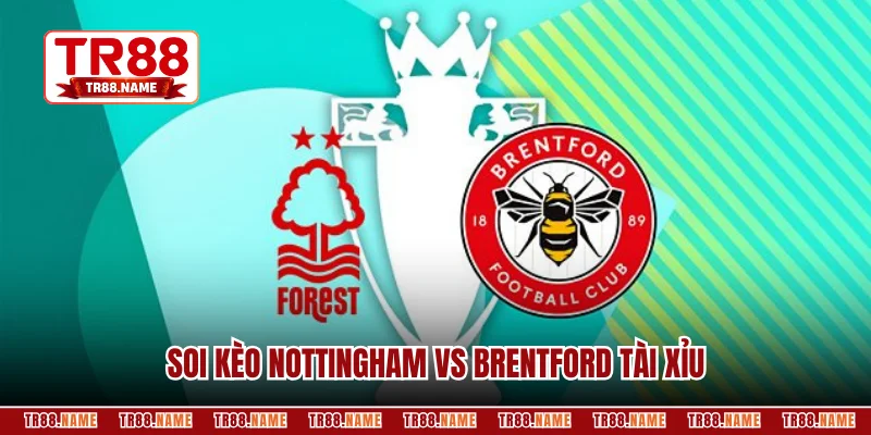 Soi kèo Nottingham vs Brentford tài xỉu qua hiệu suất ghi bàn
